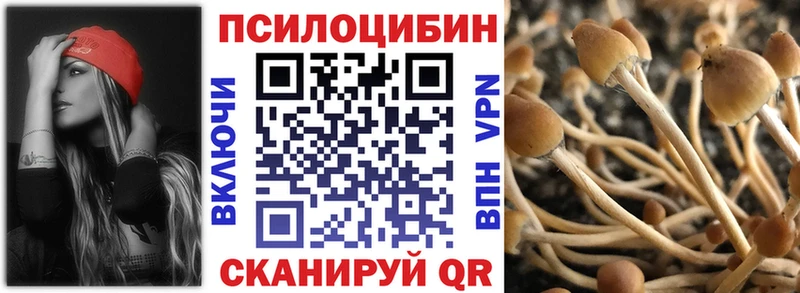 Галлюциногенные грибы GOLDEN TEACHER Берёзовский